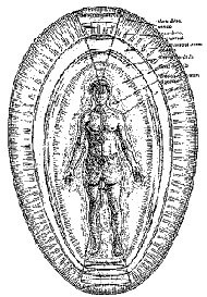 corpi eergetici