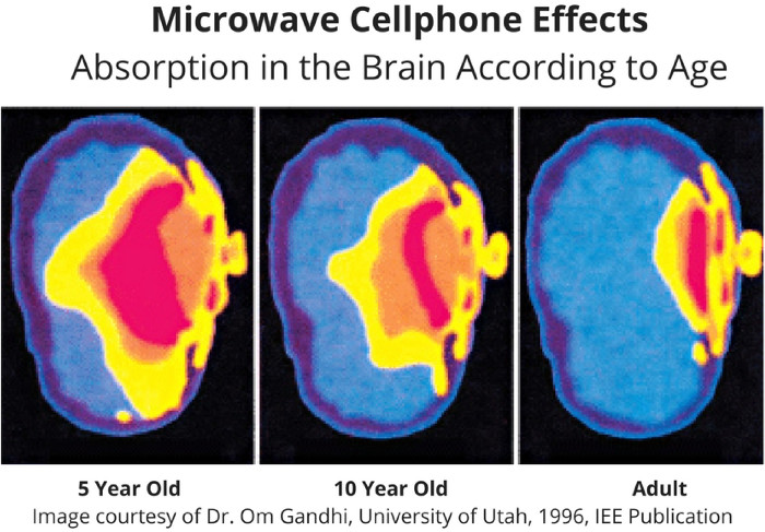 effetto sui bimbi del riscaldamento da cellulare