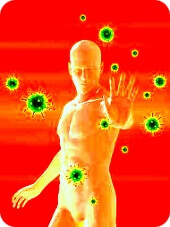 Il sistema immunitario non ci difende da nulla sistema immunitario