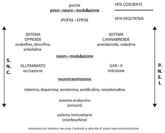 sistemi cerebrali