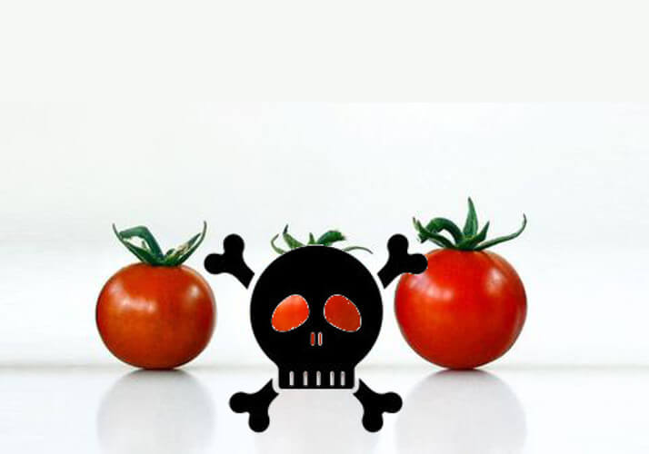ARTICOLO: Quando il pomodoro da pianta velenosa divenne miracolosamente cibo pomodori velenosi